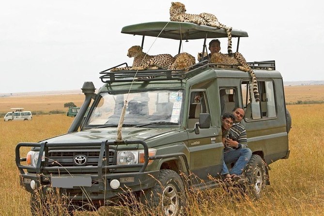How Much Does a Tanzania Safari Cost?
