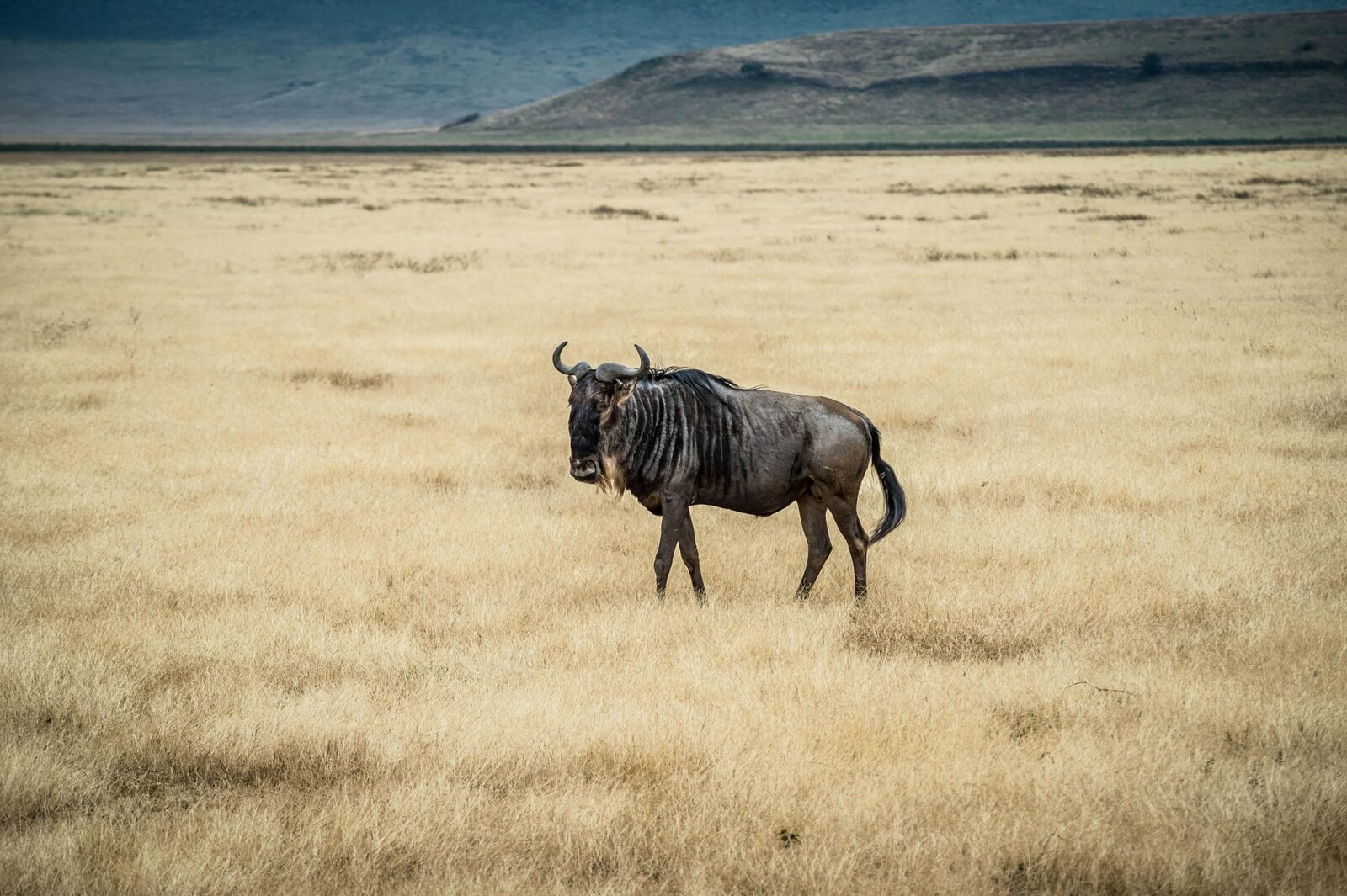 Serengeti National Park