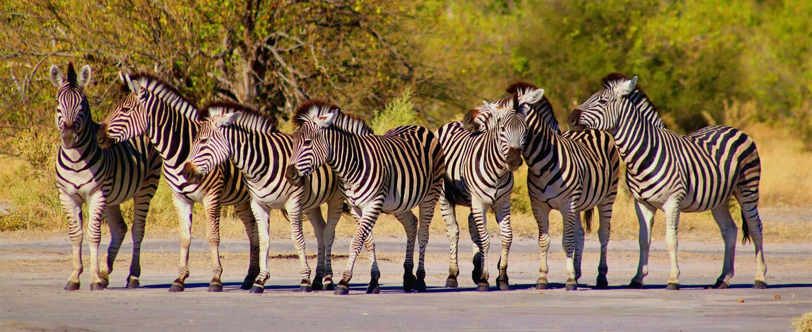 Tarangire National Park