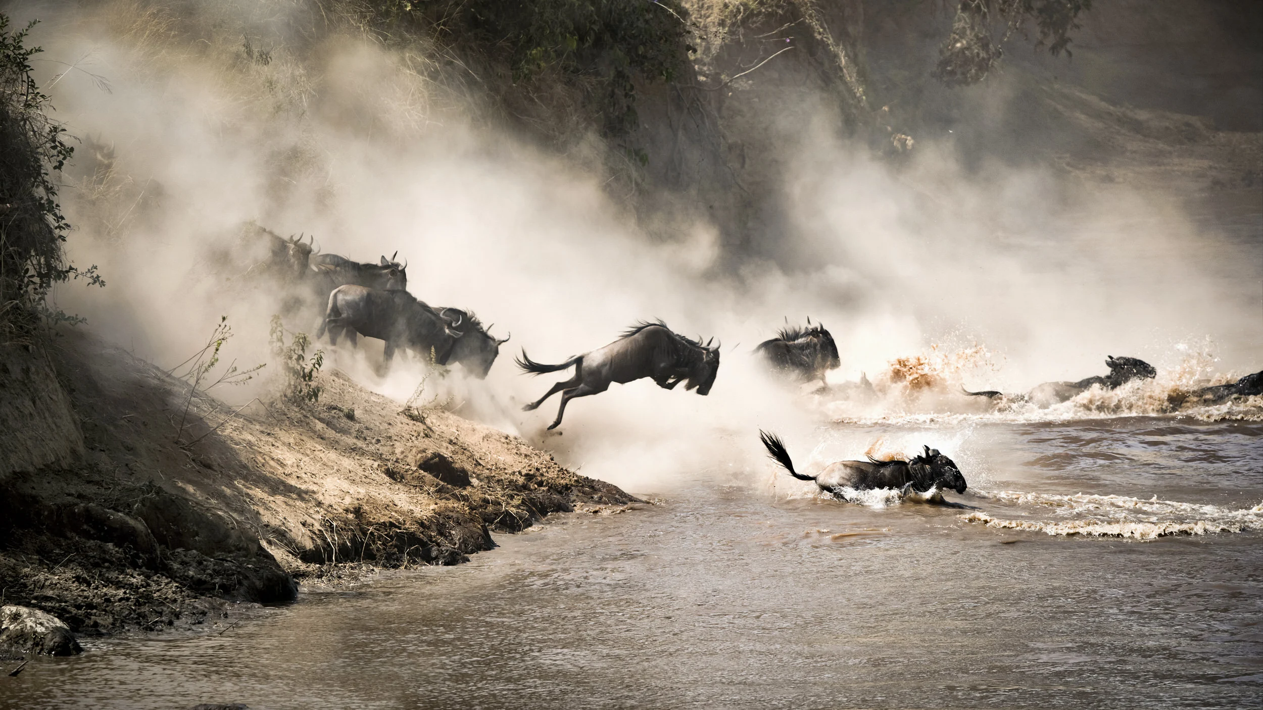 A Tanzania safari camp at golden hour