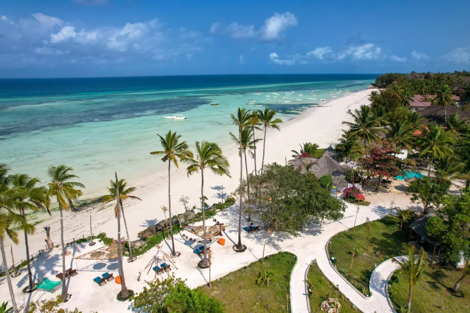 5 days fly-in from Zanzibar, Serengeti& Ngorongoro camping safari( budget)